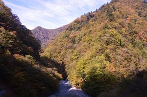 ユーシン渓谷　（公財）神奈川県公園協会