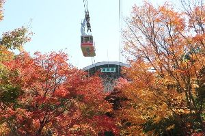 (C)別府ロープウェイ株式会社  つるみ号と紅葉・高原駅出発