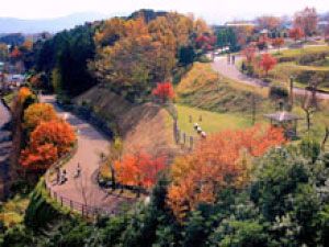 （公財）神奈川県公園協会