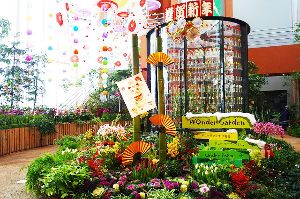 季節展示「新春の庭」画像