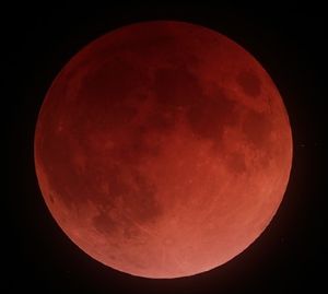 皆既月食観望会画像