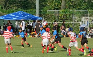 明治大学ラグビー部が直接指導してくれる！