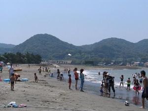 写真
