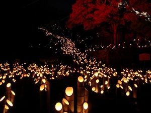 観音寺　十六羅漢