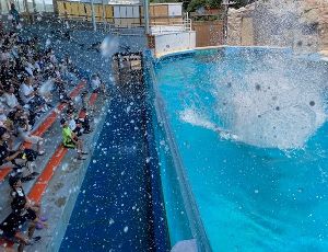 下田海中水族館