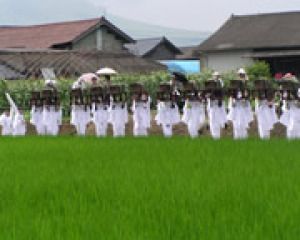 阿蘇市