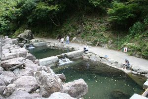 鷲の川渓流アマゴ釣り