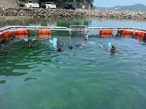 下田海中水族館