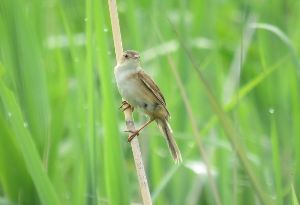 (c)青森県立三沢航空科学館