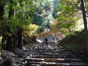 高良山