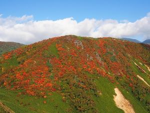 犬倉展望台から見る紅葉の犬倉山