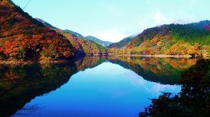 豊根村観光協会