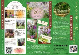 らんの花祭り・秋画像