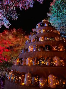 越前焼×イルミネーション『五千色の陶あかり』2025画像