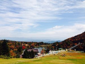 豊根村観光協会