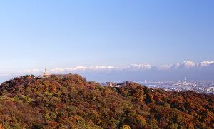 【紅葉・見ごろ】二上山画像