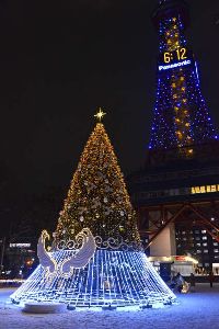 2025さっぽろホワイトイルミネーション（第45回）画像