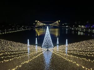 環水公園スイートイルミネーション2025画像