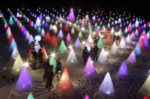 第35回　おとふけ十勝川白鳥まつり彩凛華（R）画像