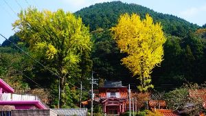 （一社）長門市観光コンベンション協会