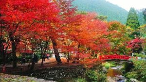 （一社）長門市観光コンベンション協会