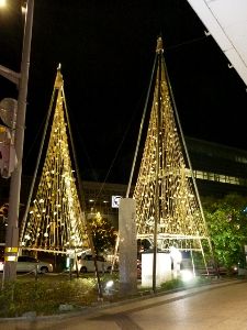 金箔雪吊りライトアップ画像