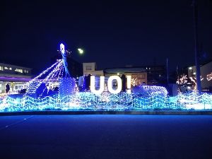 イルミラージュUOZU画像