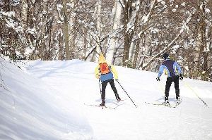 歩くスキー100kmコンペ画像