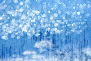 伊勢和紙による　三輪薫写真展「風の香り－日本のこころの自然風景と花」画像