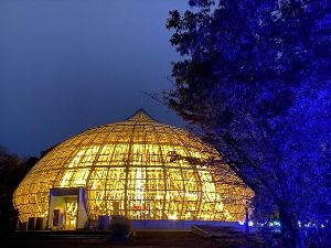 福井県総合グリーンセンター イルミネーション画像