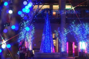 ASHIBINAA Winter Elegance イルミネーション2025-2026画像