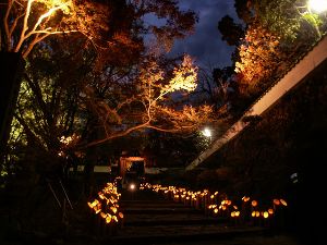 （c）臼杵市観光協会