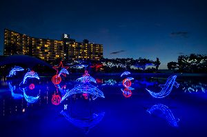 ルネッサンス　ドルフィンイルミネーション2025－2026画像