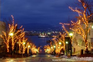 はこだてイルミネーション画像