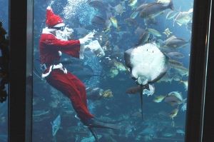 下田海中水族館