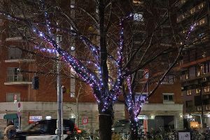 2025冬の一葉桜まつり イルミネーションセールFinal画像