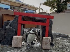 下田海中水族館