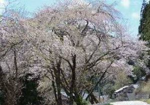 三澤郵便局付近　(c)豊根村観光協会