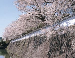 （C）日田市観光協会