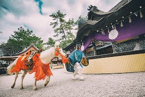 住吉大社 白馬神事画像