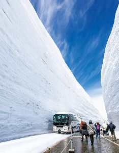 2026 立山黒部ハルタビ「雪の大谷ウォーク」画像
