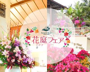 花庭（ハナナ）フェア ～一足早く咲き誇る南国の花たちに会いに行こう～画像