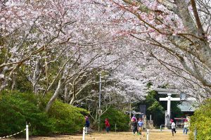 銚子市観光協会