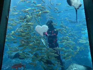 下田海中水族館