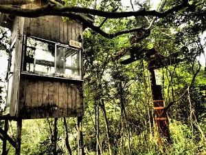 朽ち果てた監視塔