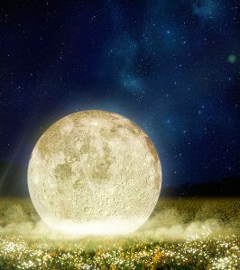 豊後高田市観光協会