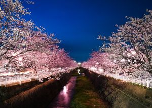 点灯イメージ（長時間露光撮影）