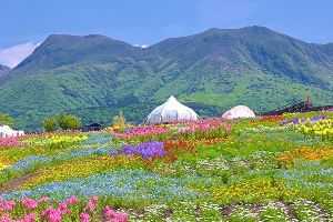 くじゅう花公園