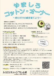 山城生活文化セミナー　やましろコットン・オーナー画像