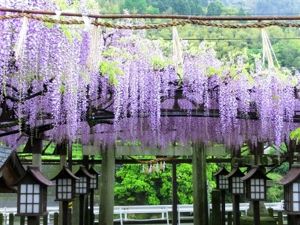 八女市観光協会 黒木支部